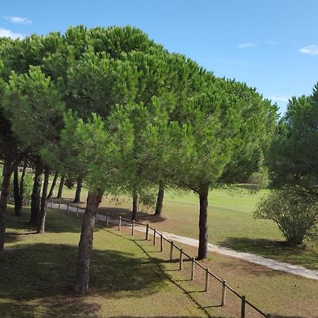 Vert Paradis - Vue Apaisante Sur Golf, Pins Parasols, 2E Etage - 80 M2 Dont Terrasse Avec Pergola, 2 Chambres, 3Et Iles, 3 Clim, Wifi - Piscine, Parking Et Park A Velos, Ascenseur - En Option Linge, Menage - Pistes Cyclables, Mer A Proximite Saint-Cyprien  Luaran gambar