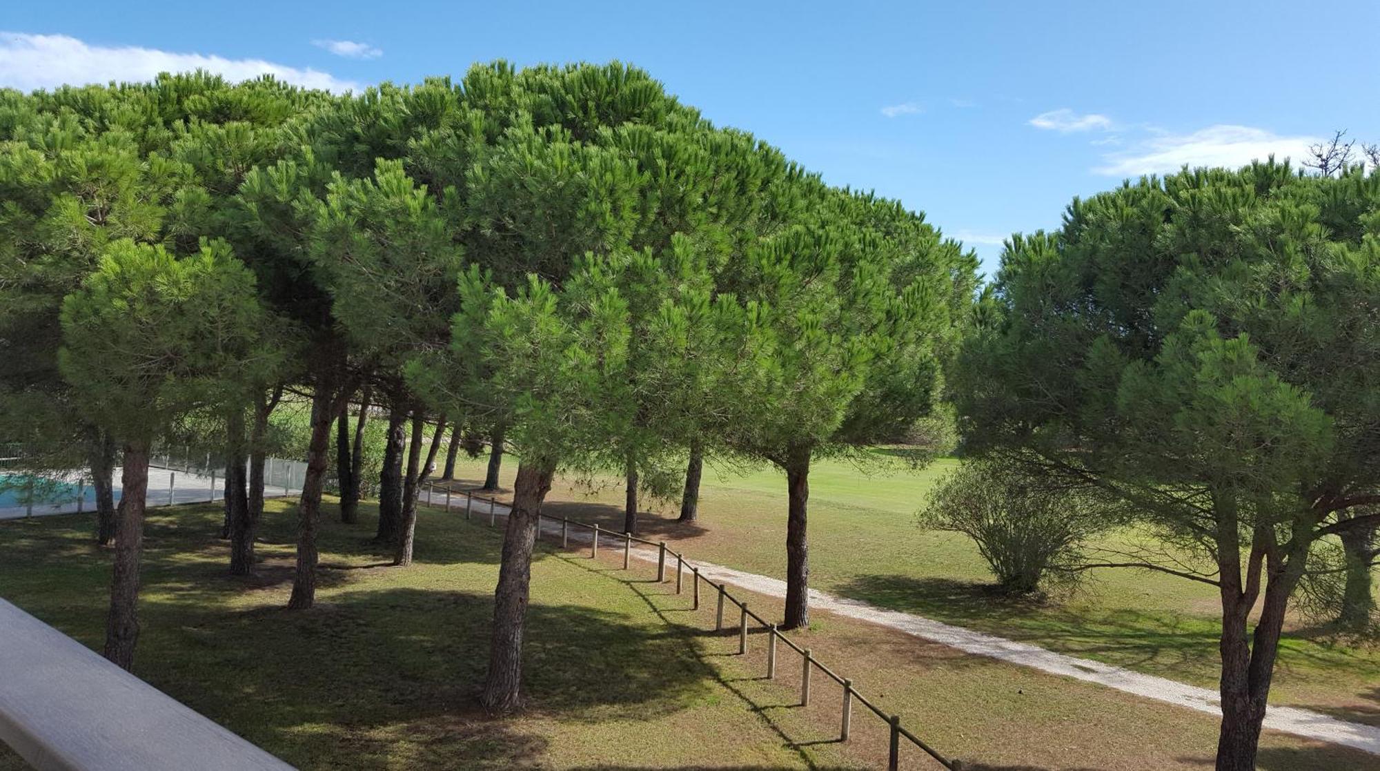 Vert Paradis - Vue Apaisante Sur Golf, Pins Parasols, 2E Etage - 80 M2 Dont Terrasse Avec Pergola, 2 Chambres, 3Et Iles, 3 Clim, Wifi - Piscine, Parking Et Park A Velos, Ascenseur - En Option Linge, Menage - Pistes Cyclables, Mer A Proximite Saint-Cyprien  Luaran gambar